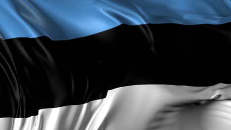 beautiful   3d animation of estonia flag in loop mode