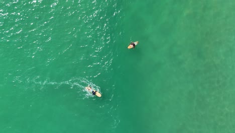 surfing in the ocean