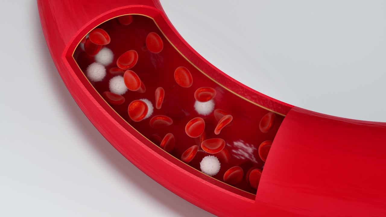 혈관에서 흐르는 적혈구와 백혈구, 3d 렌더링