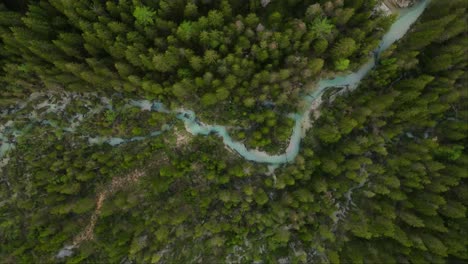 top shot of winding river near lake dobbiaco and deep forest in toblacher see, south tyrol, italy