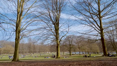 People-relaxing-at-The-Bois-De-La-Cambre-in-Brussels,-Belgium---wide-angle