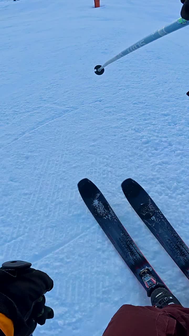 Skiing on a Snowy Mountain