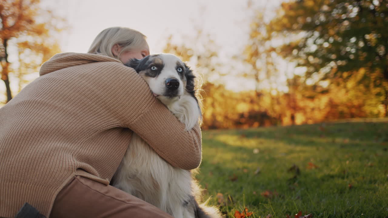 주인 은 개 를 품고 공원 에서 함께 산책 하고 있다. 해가 지기 전 저녁