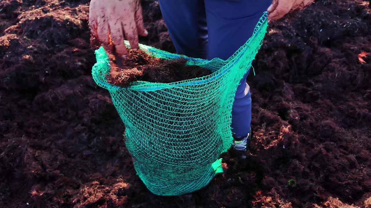 Human hand collects sea waste from dark shore symbolizing ocean degradation