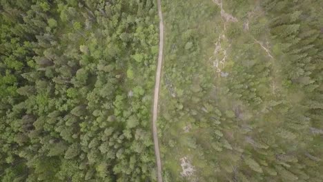 Ein-Gut-Genutzter-Mehrzweck-Waldweg