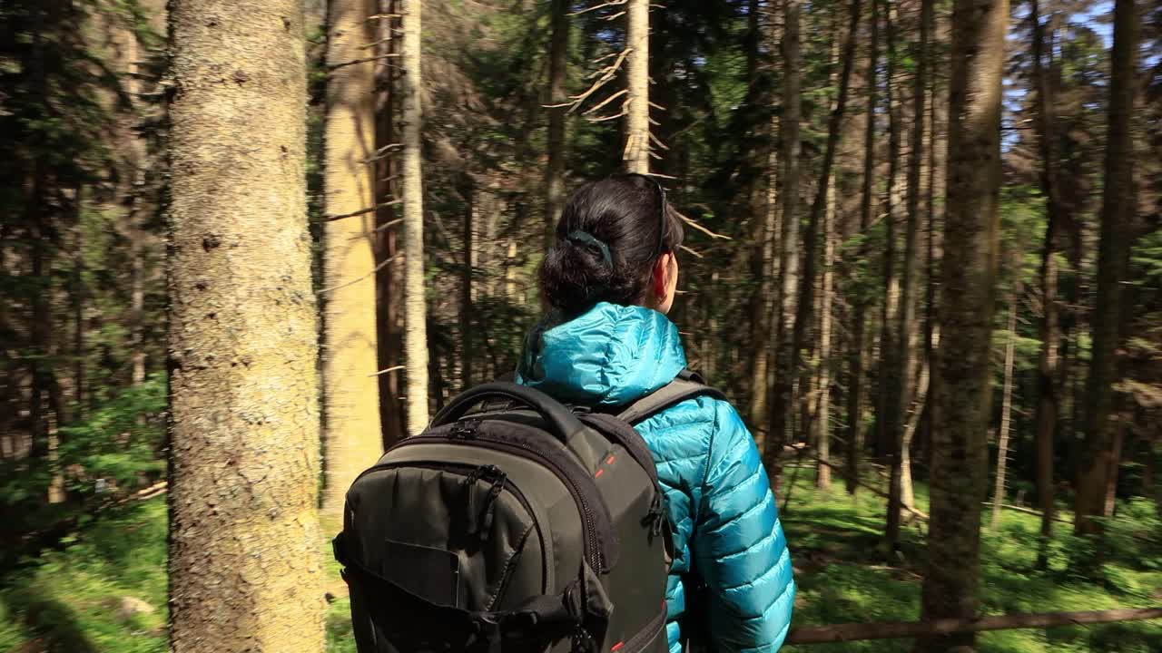 Hiking woman walk with a hiking backpack in spring green forest