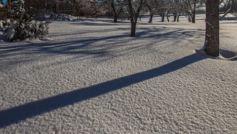 timelapse shot of sunset over snow covered forest floor at daytime