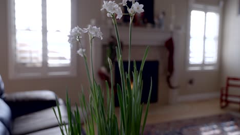 Flores-De-Narciso-En-Una-Mesa-Auxiliar-Con-Una-Acogedora-Chimenea---Movimiento-Deslizante-De-Paralaje