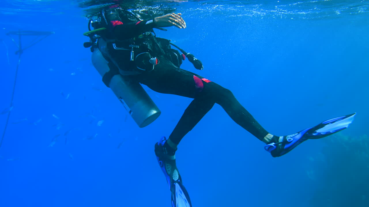 Diver swimming and exploring in the red sea