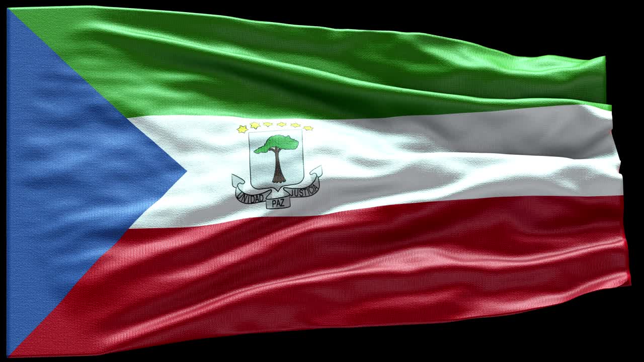 4k 매우 상세한 적도 기니의 발 - 적도 기니아 발 높은 세부 사항 - 국가 발 적도 기니어 파동 패턴 loopable 요소