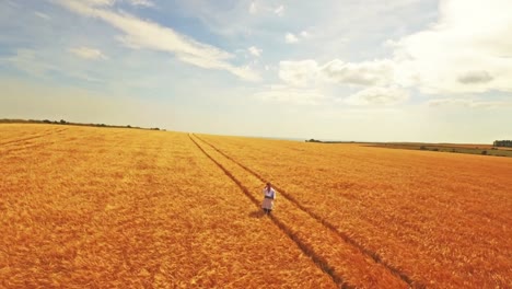 Aerial-view-of-scientist-walking-through-fields