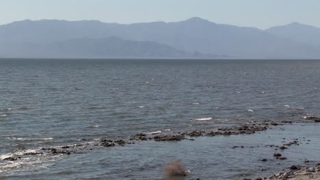 Salton-Sea-in-Southern-California,-USA-2