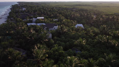 Aerial-top-down-shot-of-palm-trees-with-cabins-and-huts-in-a-white-sand-beach,-crystal-clear-blue-ocean-in-Tulum,-Mexico