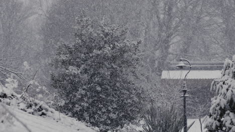 Slow-motion-snow-falling-with-house-and-tree-in-background