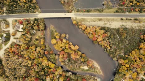 hojas de otoño