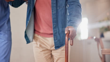 walking stick, hands support