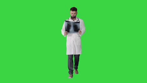 medical doctor walking and looking at x-ray picture of lungs on a green screen, chroma key