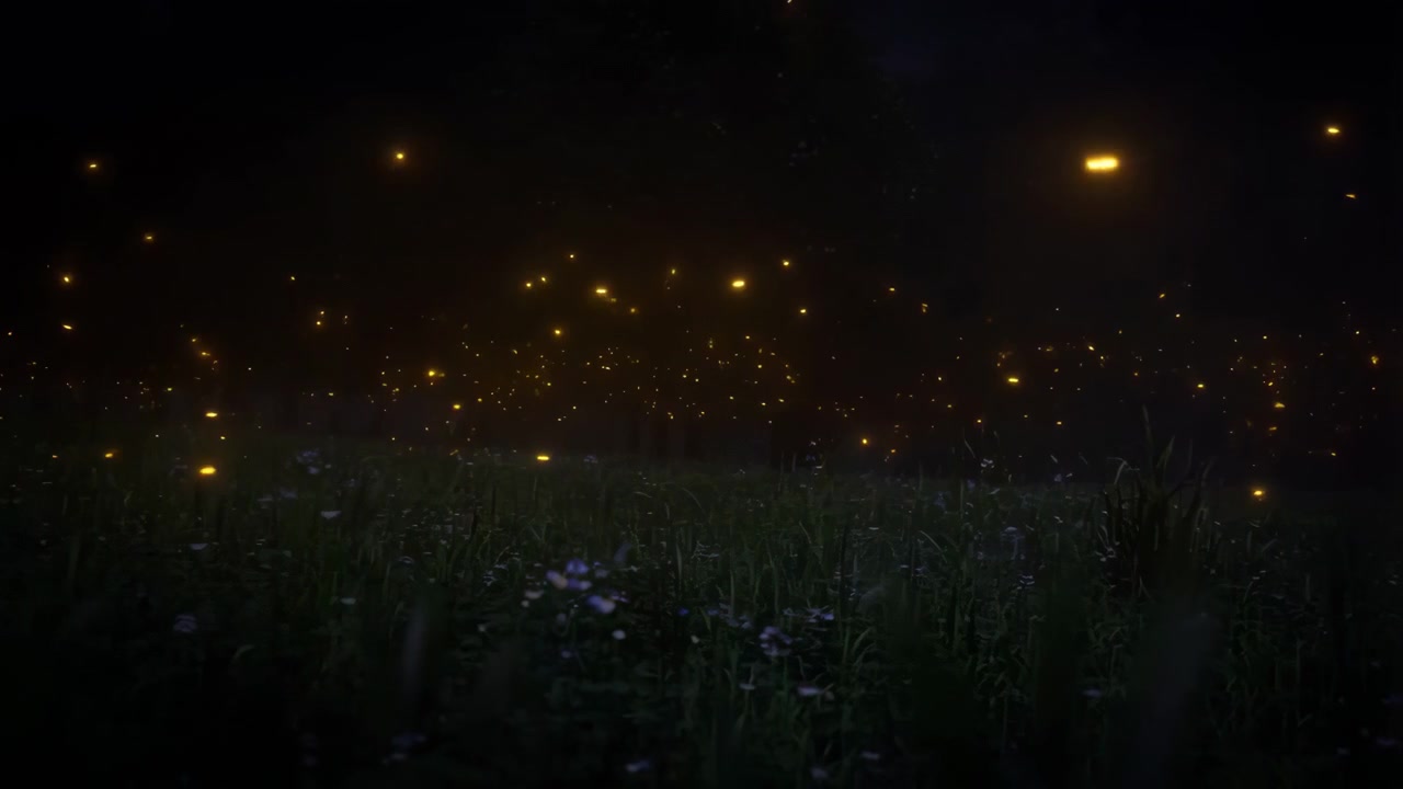 Fireflies glowing in a dark meadow at night