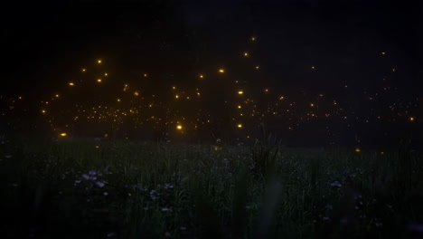 fireflies glowing in a dark meadow at night