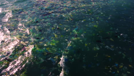 bolsas desechables de plástico de color flotan en la superficie del océano, concepto de contaminación marina