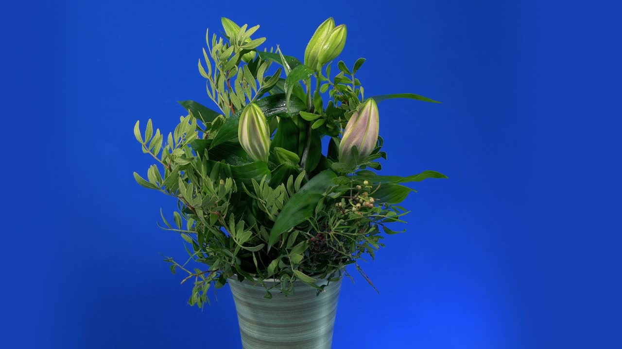 블루 스크린 에 고립 된 열리지 않은 꽃병