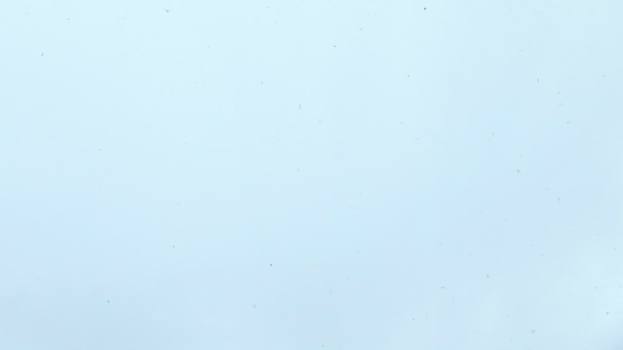 toda la piña dulce cae en agua clara en cámara súper lenta de cerca.