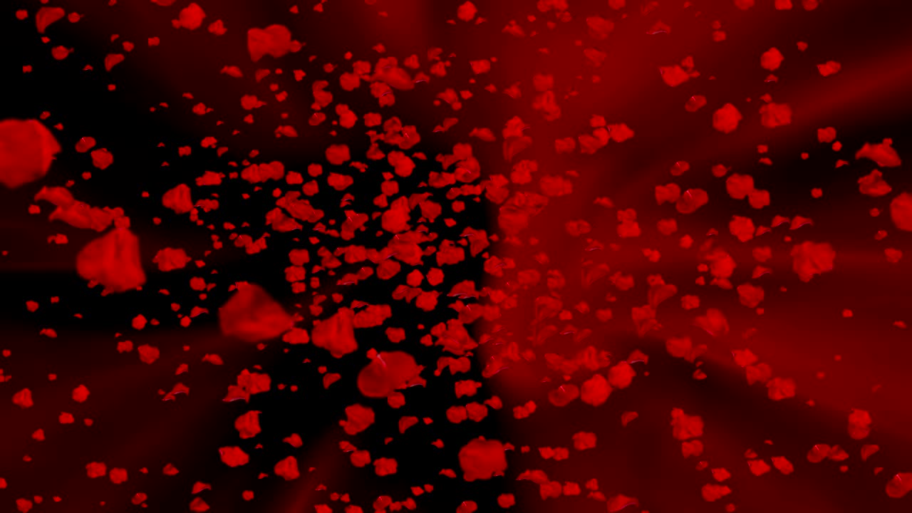 빨간색과 검은색의 추상적인 배경에서 소용돌이에서 날아다니는 은 장미 잎자루, 발렌타인 데이 사랑 휴가 행사 축제