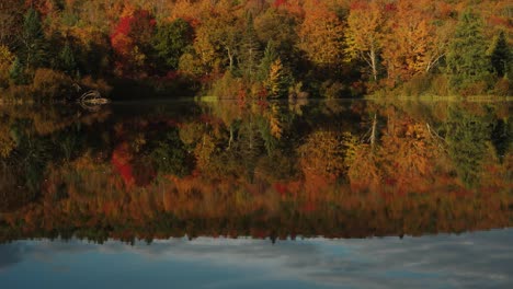 Imagen-Inclinada-De-Hojas-De-Colores-Otoñales-Reflejadas-En-Un-Tranquilo-Estanque-De-Lago-En-Nueva-Inglaterra