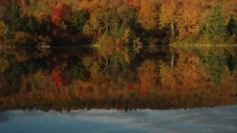 tilt shot of autumn colored leaves reflected in a calm lake pond in new england