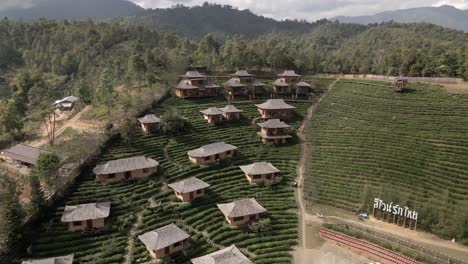 Reveal-drone-shot-of-Japanese-houses-on-the-hill-in-north-Thailand