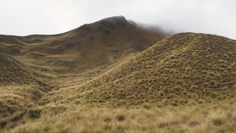 Una-Vista-Brumosa-Y-Serena-De-La-Hierba-Dorada-De-Nueva-Zelanda-Durante-Un-Día-Lluvioso