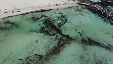 Cancun-beach-with-clear-turquoise-waters-and-tourists,-aerial-view