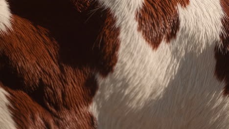 close up of horse fur