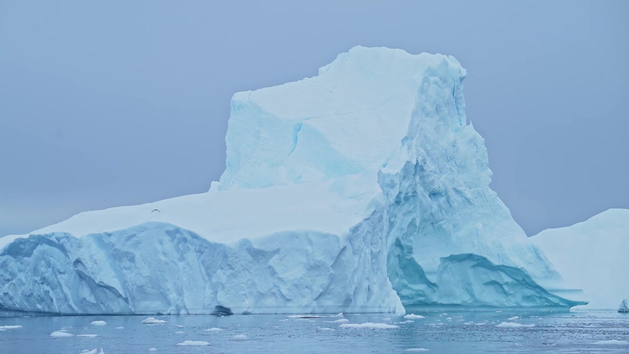 Antarktischer Eisberg und fliegender Vogel, Seevogel im Flug über dem Küstenmeer in einer meerblauen Winterlandschaft, Vogelwelt an der Küste der Antarktischen Halbinsel mit beeindruckenden Eisformationen und -formen