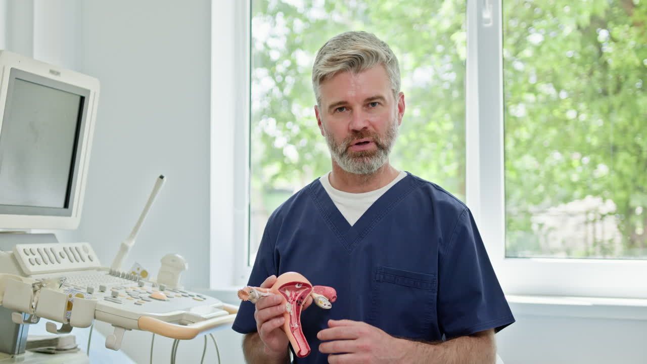 el médico explica la anatomía reproductiva femenina