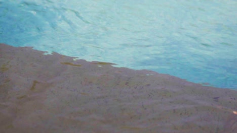 the surface of a swimming pool. slow-motion