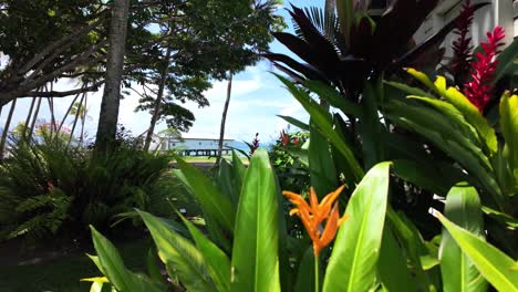 creative view of the picturesque heritage listed sugar wharf tourism attraction at port douglas north queensland australia