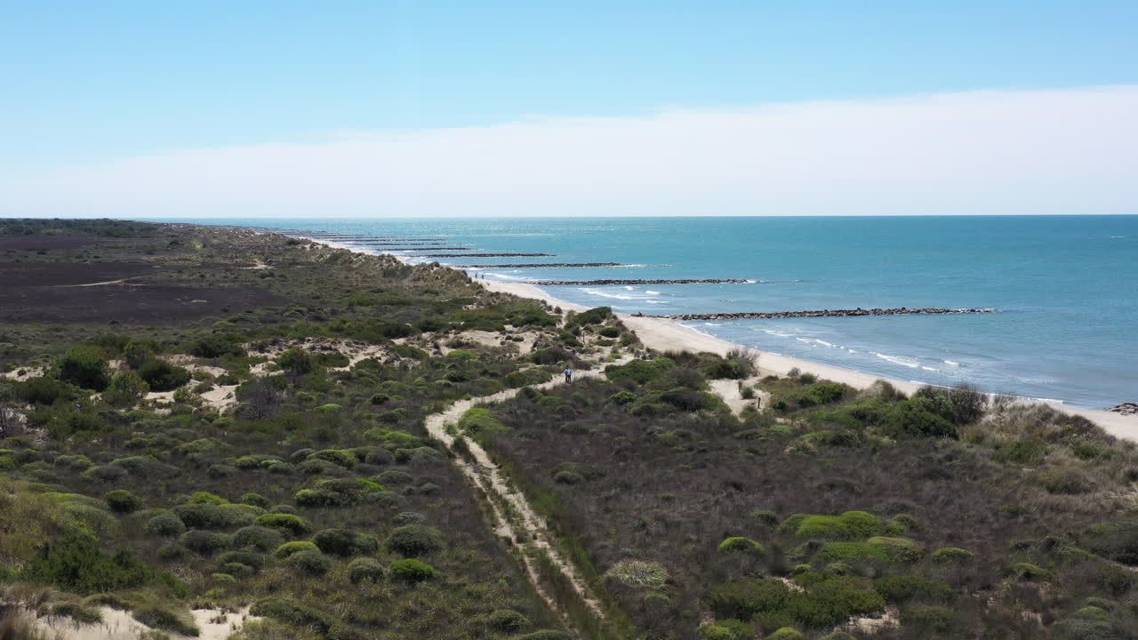 tomada aérea de un avión no tripulado de una playa en camargue día soleado dunas de arena y vegetación