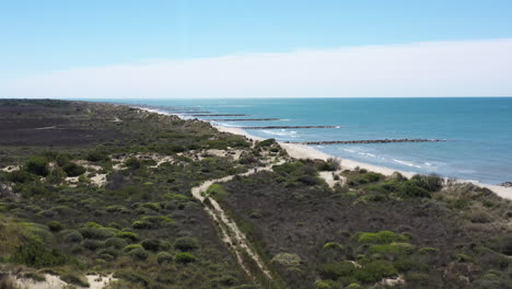 aerial drone shot of a beach in camargue sunny day sand dunes and vegetation