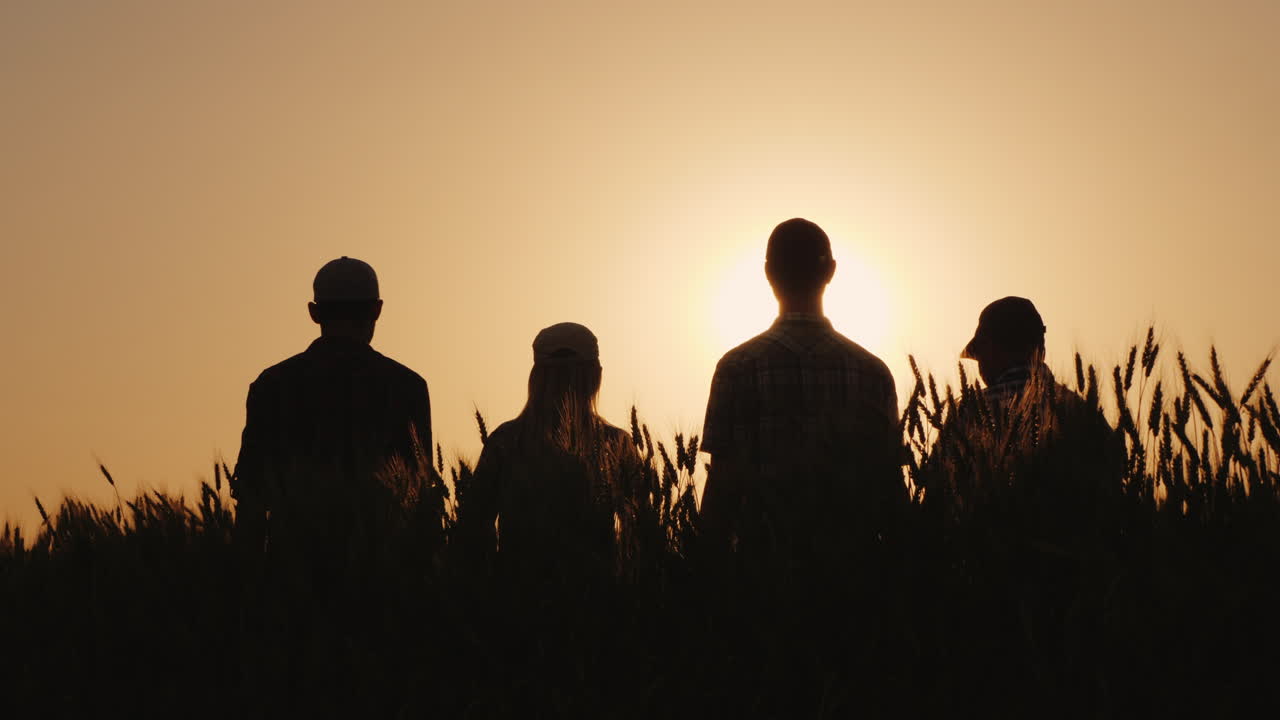 한 무리의 성공한 젊은이들이 함께 손을 잡고 그들은 성공적인 팀을