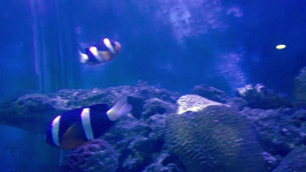 작은 liuqiu의 최고의 전망