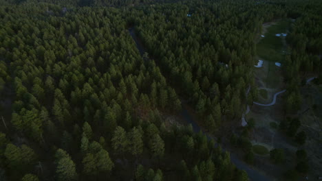 aerial view, conifer forest between state road and hidden residential community in landscape of arizona usa at sunset, revealing drone shot