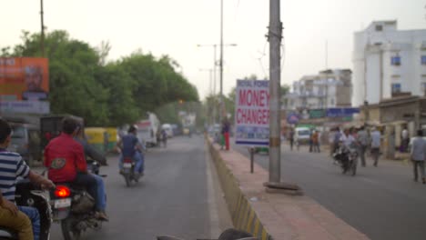 Shot-Panning-Up-From-Cow-to-Road