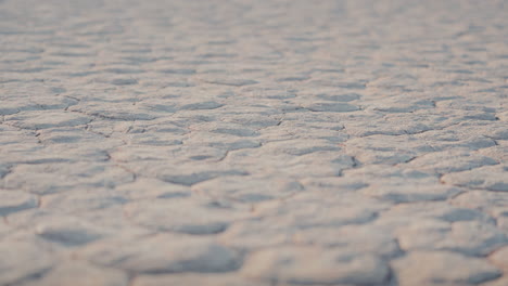 Dry Lakebed Texture