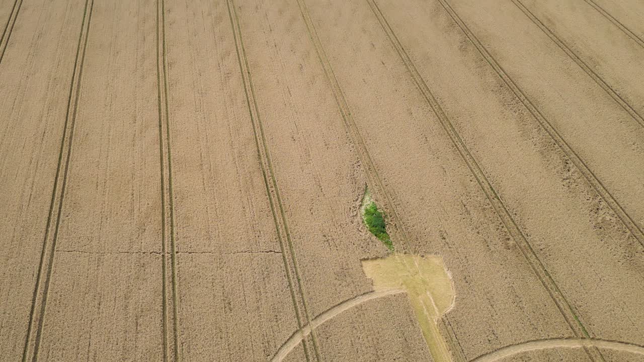 브래튼 곡물 서클 (bratton crop circle) 과 골든 윌트셔 밀 필드 (golden wiltshire wheat field) 의 공중 도를 보여준다.