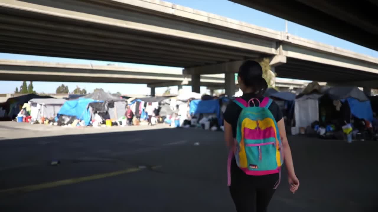 Exploration of Urban Homelessness: A Journey Through Encampments Underneath the Overpass and the Lives Behind the Tents and Tarps in a City Landscape