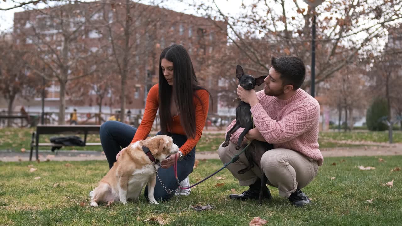Young couple enjoying a day outdoors in the park with their dogs.