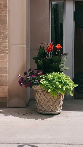 flowers in a planter on a porch