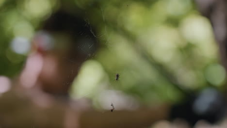 soldier practicing hand to hand combat in dense forest with close cobweb obstructing view blurred figure moves behind web during survival training emphasizing focus and overcoming natural obstacles