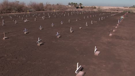 A-cemetery-contains-rows-of-graves-marked-with-small-white-crosses